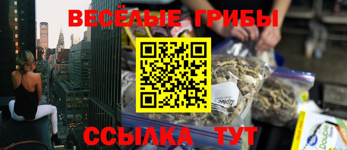 Галлюциногенные грибы мицелий  Вход с VPN  Тимашёвск 